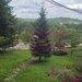 Cabana cu 5 camere de vanzare in Provita